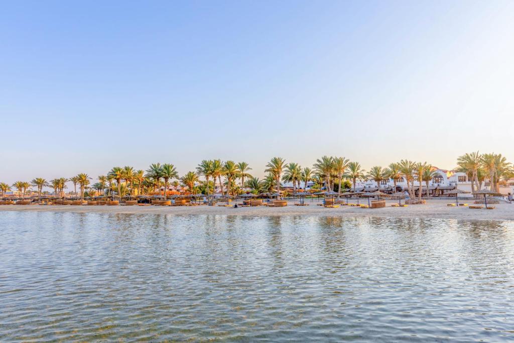 بروتيلز بيتش كلوب آند سبا مرسى علم - Protels Beach Club & SPA Marsa Alam