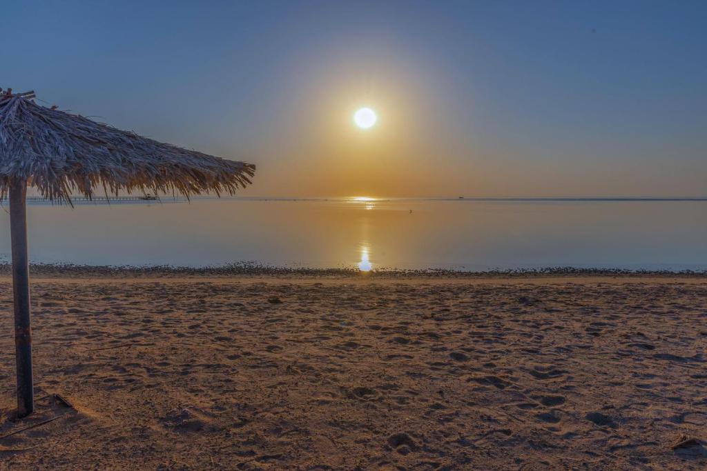 بروتيلز بيتش كلوب آند سبا مرسى علم - Protels Beach Club & SPA Marsa Alam